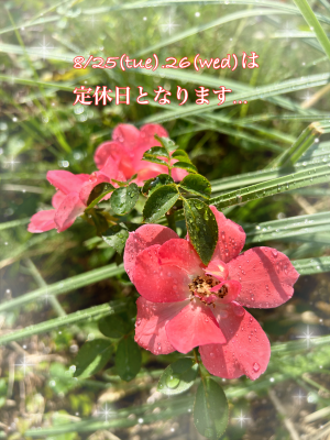 IMG_0217 (002).PNG