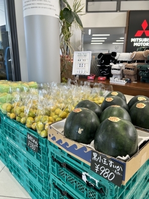 IMG_0907 (002).jpeg