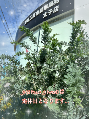 IMG_0659 (002).PNG