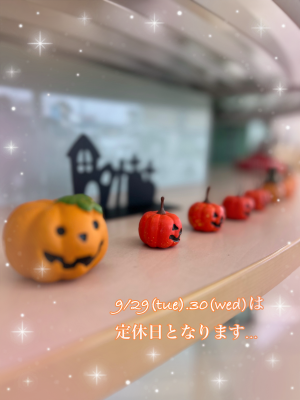 IMG_1177 (002).PNG