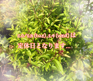 IMG_1540 (002).PNG