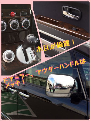 シャモニー展示車1.png