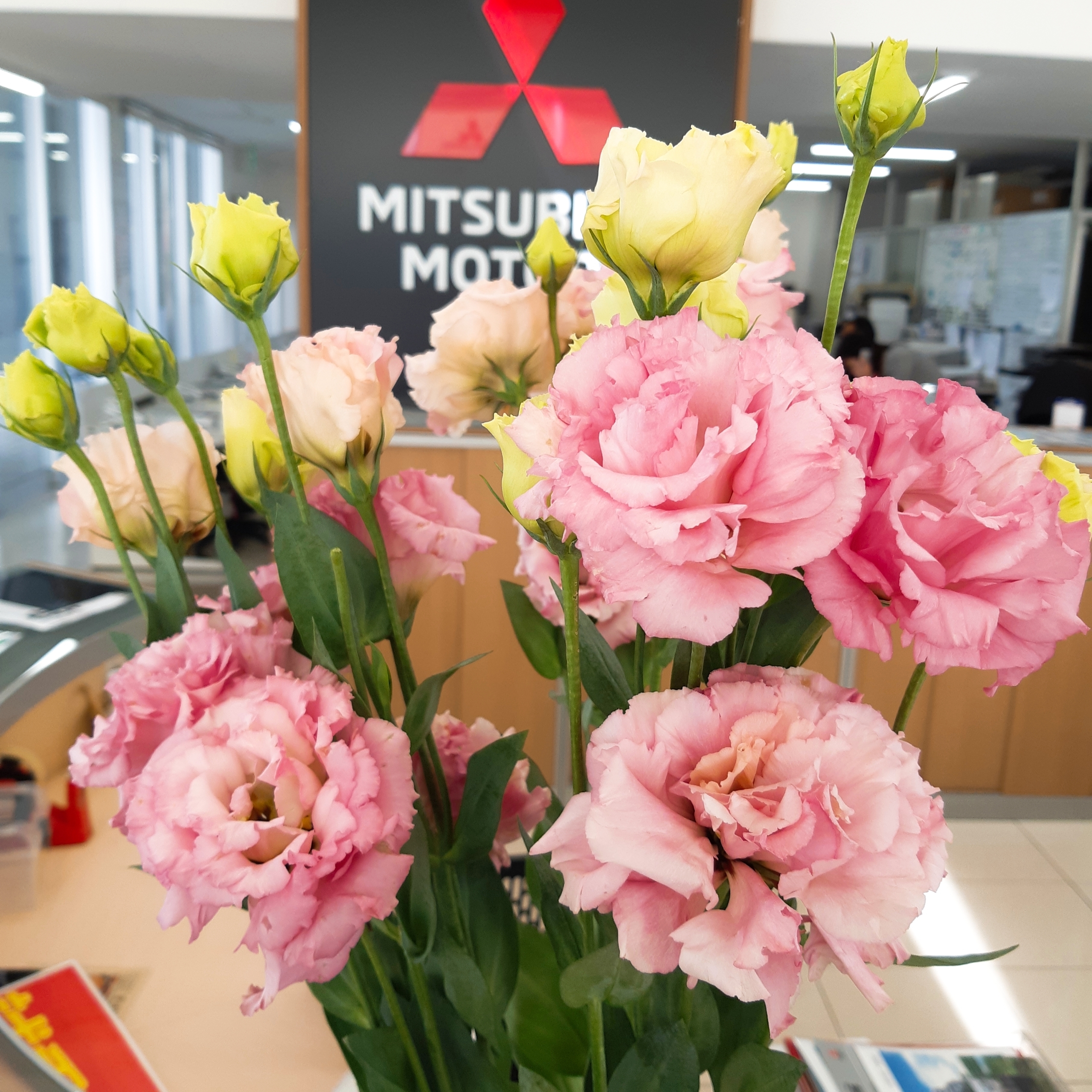 4月の誕生花 姫路三菱自動車販売株式会社 太子店 兵庫三菱自動車販売グループ