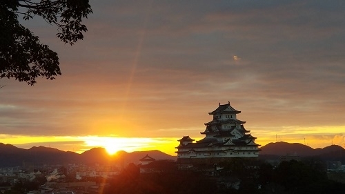 初日の出男山.jpg