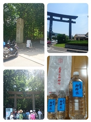collage-1497097407735.jpg