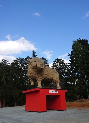 加茂神社.jpg