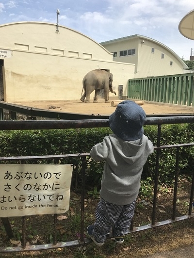 王子ZOO.jpg