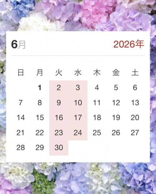 6月定休日.jpeg