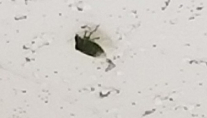 20171112_151352.jpg
