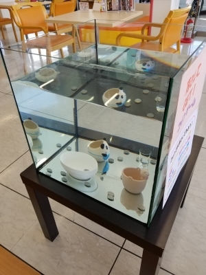 20181103_115804.jpg