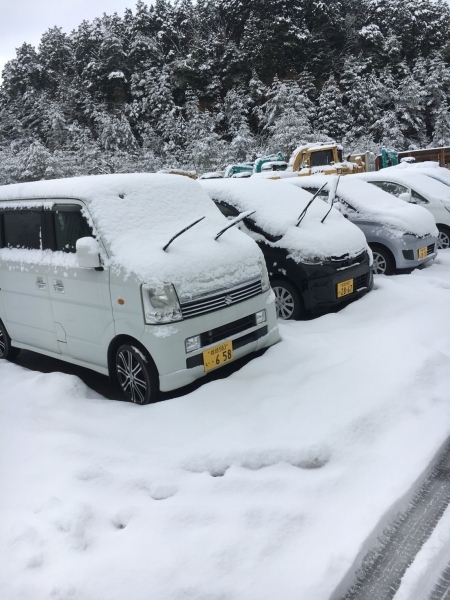 20190127103754.jpg