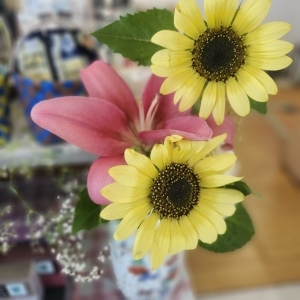 20260613_111637.jpg