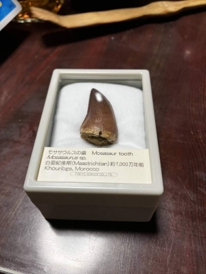 1790237346232.jpg